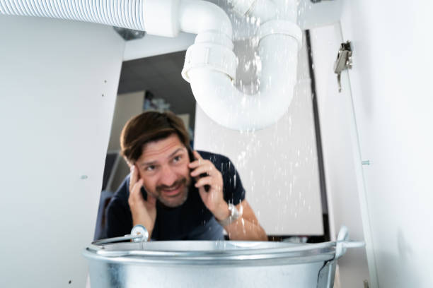 Best Local Plumber Services  in Westmont, IL
