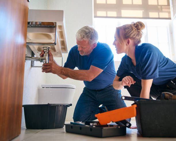 Best Sprinkler Systems  in Westmont, IL